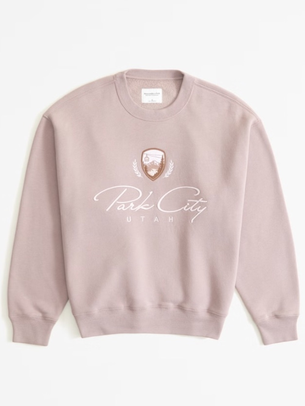 Abercrombie Oversized Crew Neck Park City
